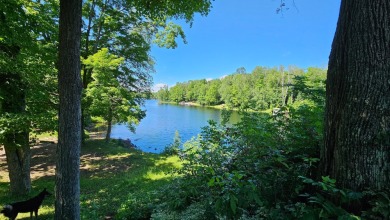 Long Lake - Lincoln County Home For Sale in Deerbrook Wisconsin