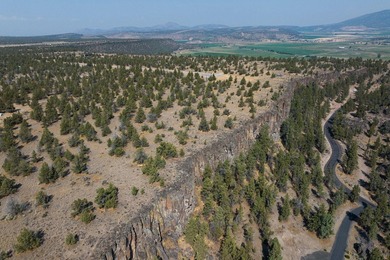 Welcome to Pinecrest Ridge - where wide open spaces meet endless - photo 7