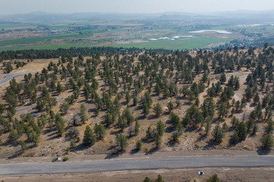 Welcome to Pinecrest Ridge - where wide open spaces meet endless - photo 8