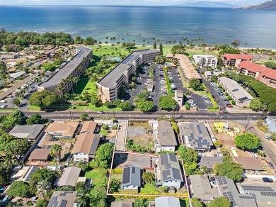 Experience the essence of Maui coastal living and investment - photo 2