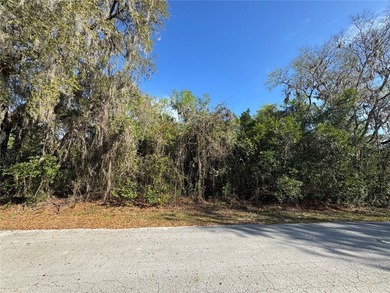 Lake Panasoffkee Lot For Sale in Lake Panasoffkee Florida