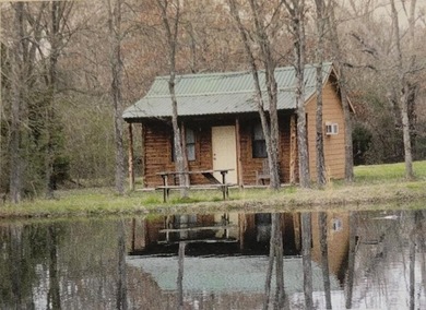 Rare investment opportunity! This property has five active cabin - photo 13