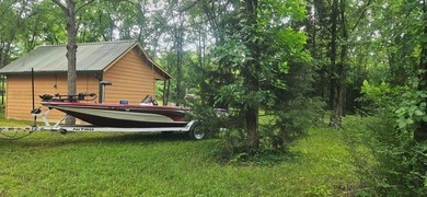 Rare investment opportunity! This property has five active cabin - photo 14