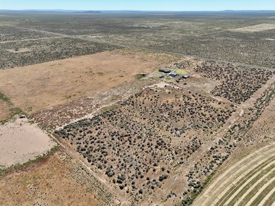 If you have been searching for a quiet, wide-open space to raise - photo 17