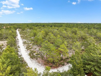 Welcome to your dream retreat, nestled in the serene community - photo 43