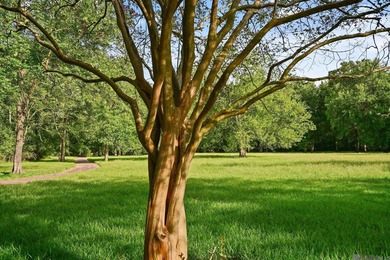 Incredible Opportunity on Over 14 Acres! This gated, scenic - photo 6
