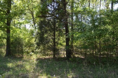 Lake Lot For Sale in Trinidad, Texas