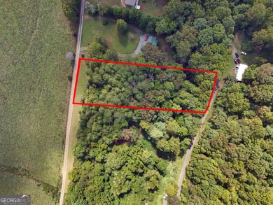 Lake Lot For Sale in Young Harris, Georgia