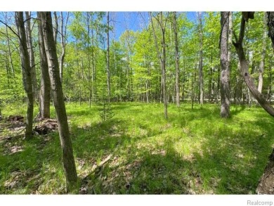 Lake Lot For Sale in Lake, Michigan