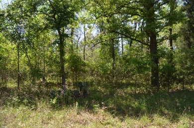 Lake Lot For Sale in Trinidad, Texas