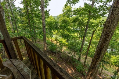 4 Cabins on roughly 2.5 acres adjoining the Warm Fork River and - photo 11