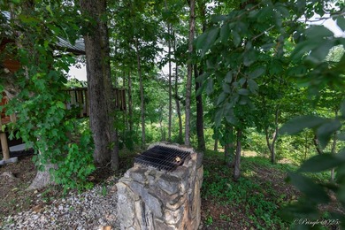 4 Cabins on roughly 2.5 acres adjoining the Warm Fork River and - photo 12