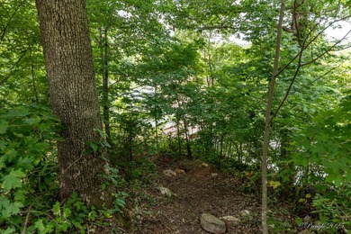 4 Cabins on roughly 2.5 acres adjoining the Warm Fork River and - photo 13