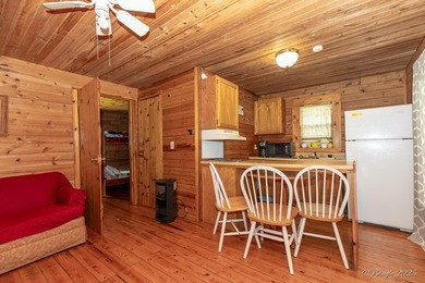 4 Cabins on roughly 2.5 acres adjoining the Warm Fork River and - photo 16