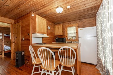 4 Cabins on roughly 2.5 acres adjoining the Warm Fork River and - photo 17