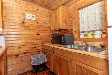 4 Cabins on roughly 2.5 acres adjoining the Warm Fork River and - photo 18