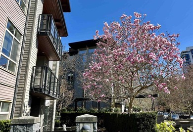 Welcome to Pathways by Adera, a charming concrete low-rise - photo 19