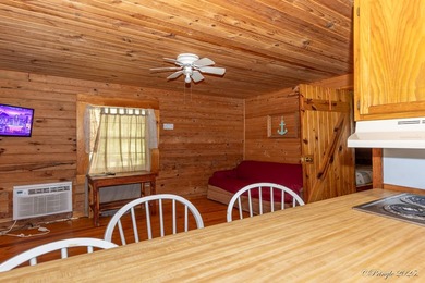 4 Cabins on roughly 2.5 acres adjoining the Warm Fork River and - photo 19