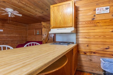 4 Cabins on roughly 2.5 acres adjoining the Warm Fork River and - photo 21