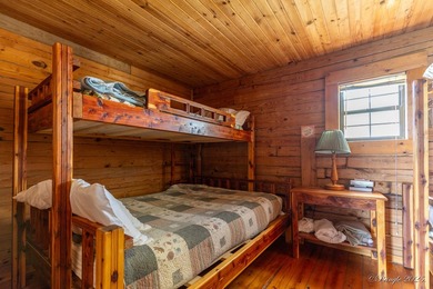 4 Cabins on roughly 2.5 acres adjoining the Warm Fork River and - photo 23
