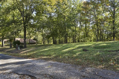 Lake Lot For Sale in Lampe, Missouri