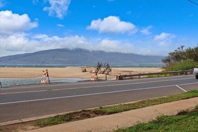 Kihei Bay Vista is situated across from Kalepolepoe Beach Park - photo 3