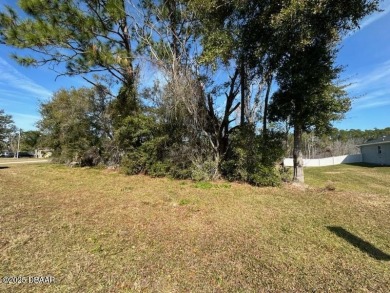 Lake Lot For Sale in Deltona, Florida