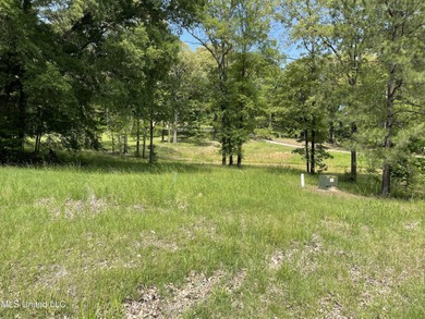 (private lake, pond, creek) Lot For Sale in Madison Mississippi