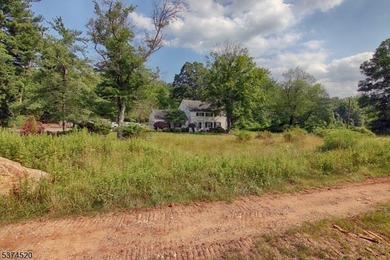 Picturesque Colonial home residing on nearly 10 acres. Located - photo 17