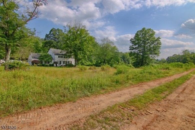 Picturesque Colonial home residing on nearly 10 acres. Located - photo 18