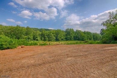 Picturesque Colonial home residing on nearly 10 acres. Located - photo 19
