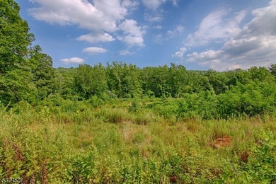 Picturesque Colonial home residing on nearly 10 acres. Located - photo 21