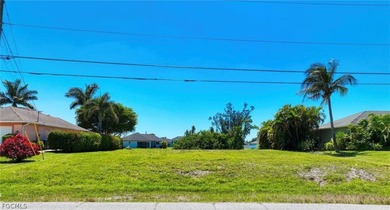 Serious buyers only . Great deal on a SW Cape Coral freshwater - photo 4