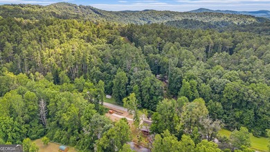 This beautiful log cabin home is located on the edge of the - photo 29