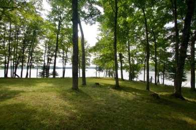 Lake Home Sale Pending in Watersmeet, Michigan