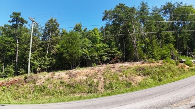 Lake Lot For Sale in Dandridge, Tennessee
