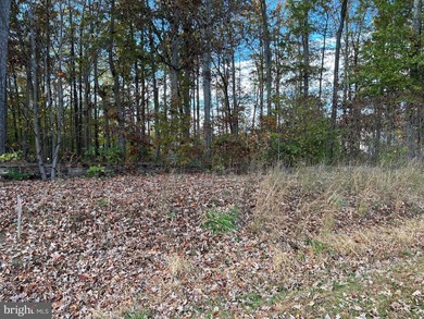 Waterfront lot in one of the lake's most prestigious - photo 3