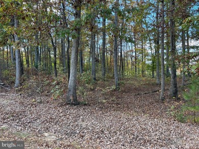 Waterfront lot in one of the lake's most prestigious - photo 4