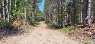 Great hunting and recreational property. 52.62 undeveloped - Lake Lot For Sale in Orr, Minnesota