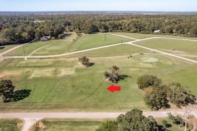 Lot 7-8 Springs Road at Trinity Plantation SOLD - Lake Lot SOLD! in Trinity, Texas