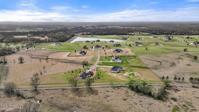 Come build your custom, dream home on this gorgeous, 3.03 acre - photo 21