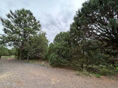 LOCATION, LOCATION, An Astronomer's Dream. Dark sky area being