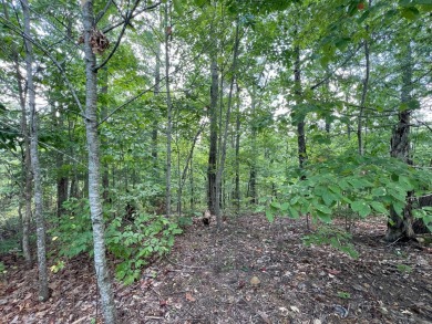 Cherokee Lake Lot For Sale in Bean Station Tennessee