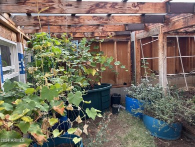 LOCATION, LOCATION, An Astronomer's Dream. Dark sky area being