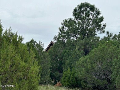 LOCATION, LOCATION, An Astronomer's Dream. Dark sky area being