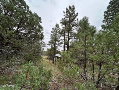 LOCATION, LOCATION, An Astronomer's Dream. Dark sky area being