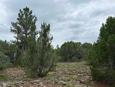 LOCATION, LOCATION, An Astronomer's Dream. Dark sky area being