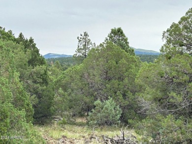 LOCATION, LOCATION, An Astronomer's Dream. Dark sky area being