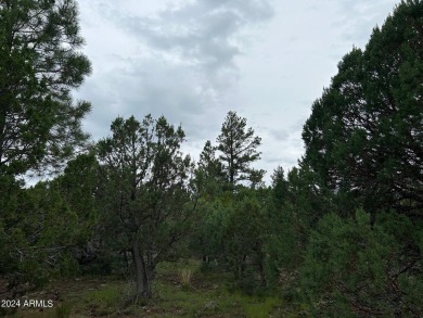 LOCATION, LOCATION, An Astronomer's Dream. Dark sky area being