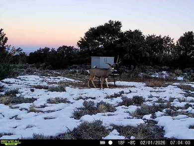 Set in a beautiful location beneath Latir Peak, the +/-1 - photo 5